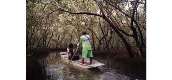 turismo regenerativo cali