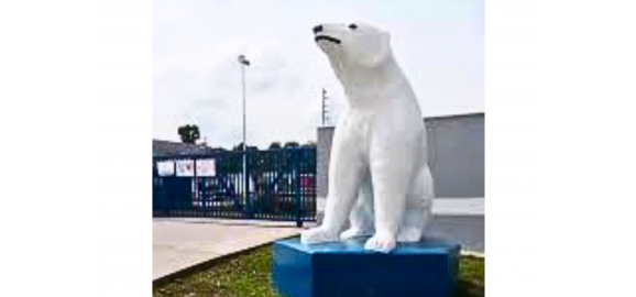 un oso polar en maracay la fascinante historia detras de esta estatua