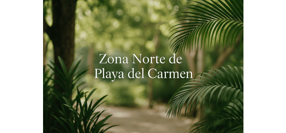 por que la zona norte de playa del carmen es una de las mejores areas para vivir e invertir en 2025
