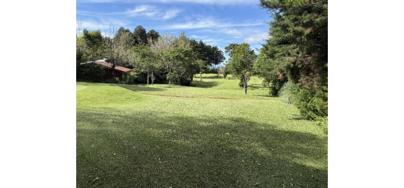 invertir en bienes raices con cabeza fria