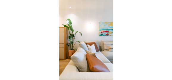 olvidate de las macetas pequenas