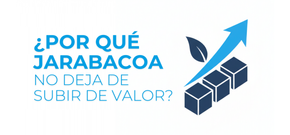 factores que impulsan la valorizacion de bienes raices en jarabacoa
