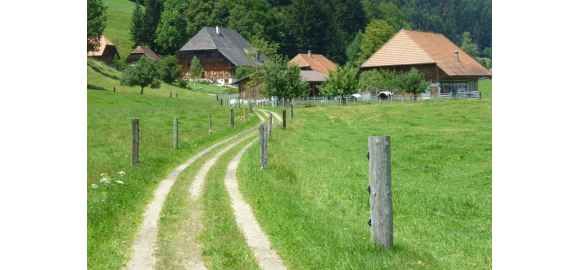 escuchaste servidumbre al comprar una propiedad no ignores ese detalle