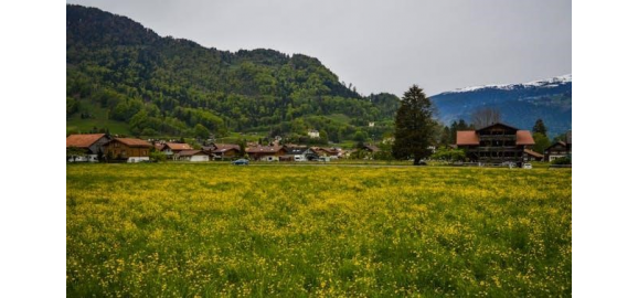 que ventajas tiene invertir en terrenos campestres
