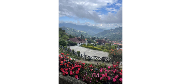 why investors choose panama