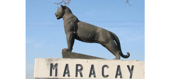el secreto del tigre que le dio nombre a maracay