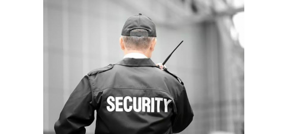 el sindrome del patron cuando los consejos de administracion se extralimitan con la vigilancia privada