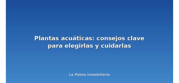 plantas acuaticas consejos clave para elegirlas y cuidarlas