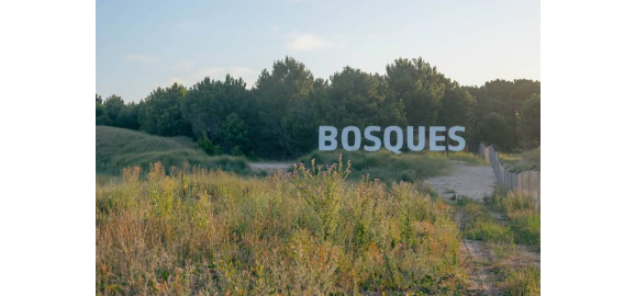 un lote en esquina dentro del bosque asi es sector acacias en bosques pinamar norte buenos aires