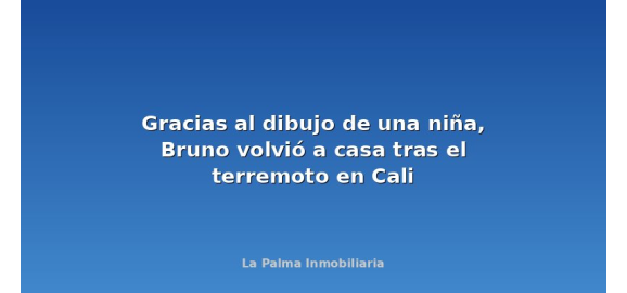 gracias al dibujo de una nina bruno volvio a casa tras el terremoto en cali