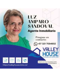 LUZ AMPARO