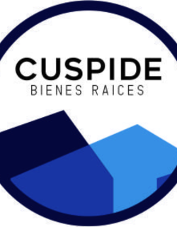 Cúspide