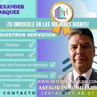 Martin Alexander