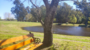 banner