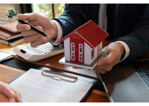 legal and financial advice