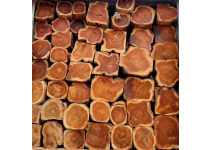 comercializacion de madera teca