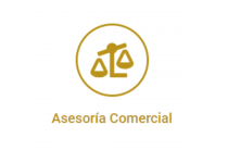 Asesoria Comercial.