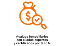 avaluos