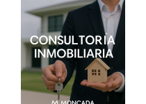 consultoria inmobiliaria