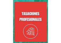tasaciones profesionales
