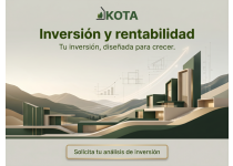 inversion y rentabilidad