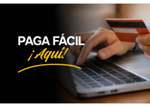 pagos online
